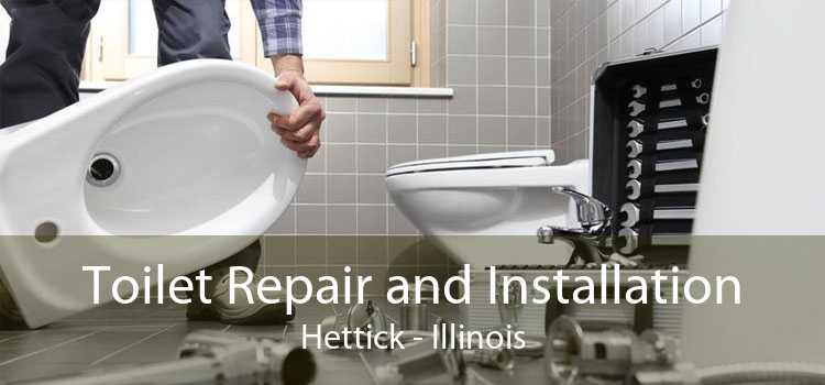 Toilet Repair and Installation Hettick - Illinois