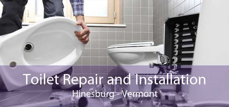 Toilet Repair and Installation Hinesburg - Vermont