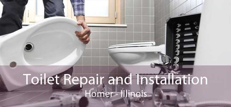 Toilet Repair and Installation Homer - Illinois