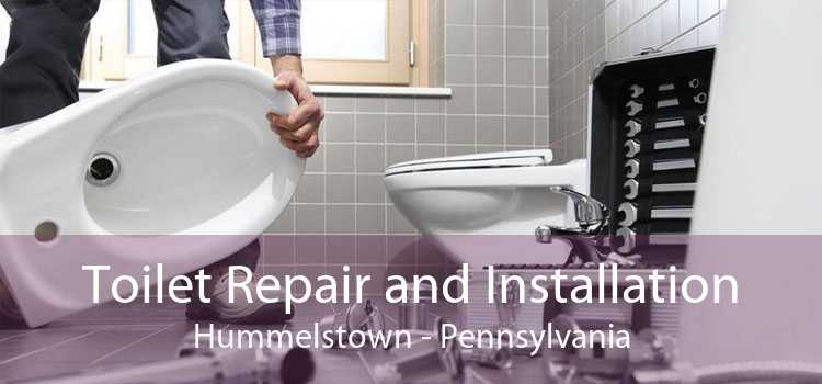 Toilet Repair and Installation Hummelstown - Pennsylvania