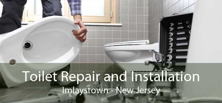 Toilet Repair and Installation Imlaystown - New Jersey