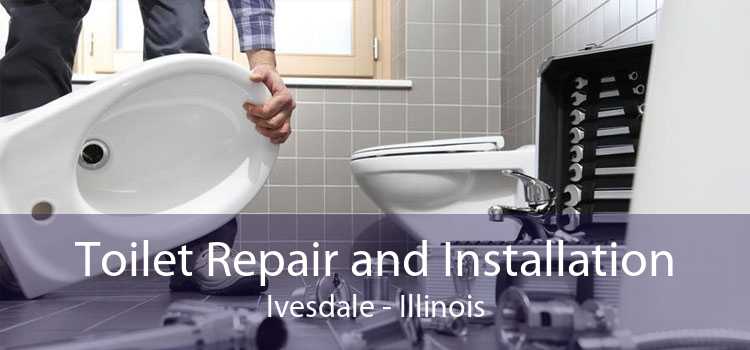 Toilet Repair and Installation Ivesdale - Illinois