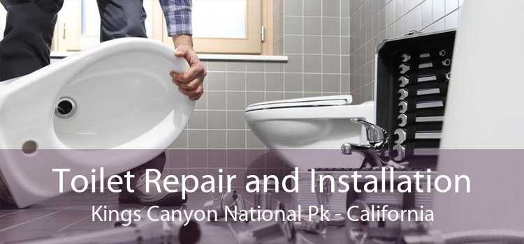 Toilet Repair and Installation Kings Canyon National Pk - California