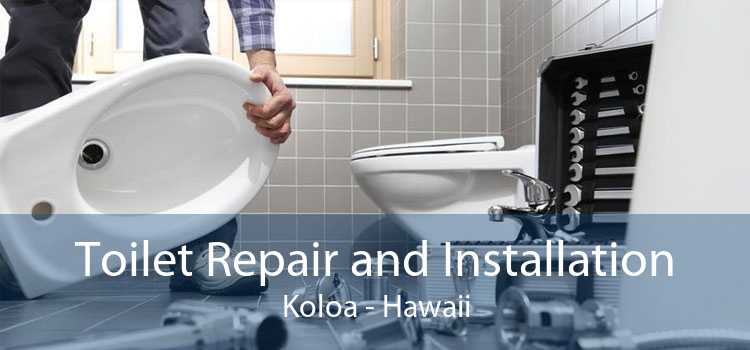 Toilet Repair and Installation Koloa - Hawaii