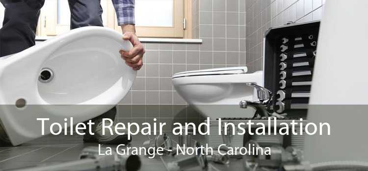 Toilet Repair and Installation La Grange - North Carolina