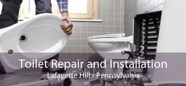Toilet Repair and Installation Lafayette Hill - Pennsylvania