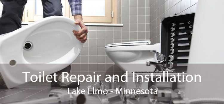 Toilet Repair and Installation Lake Elmo - Minnesota