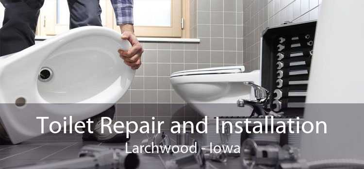 Toilet Repair and Installation Larchwood - Iowa