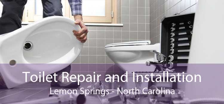 Toilet Repair and Installation Lemon Springs - North Carolina