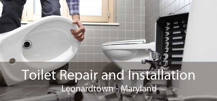 Toilet Repair and Installation Leonardtown - Maryland