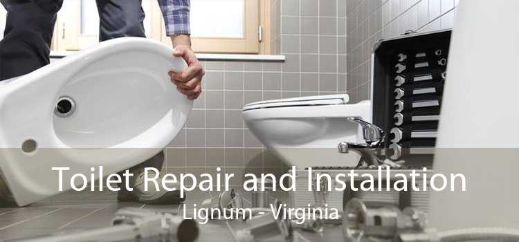 Toilet Repair and Installation Lignum - Virginia