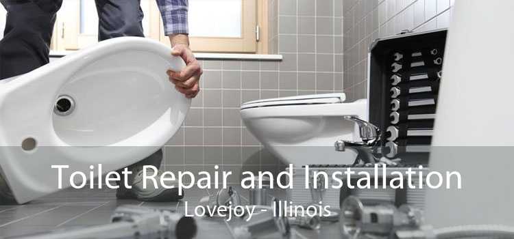 Toilet Repair and Installation Lovejoy - Illinois