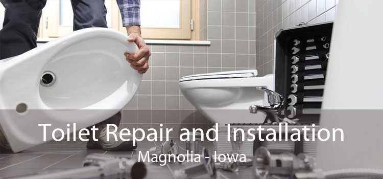 Toilet Repair and Installation Magnolia - Iowa