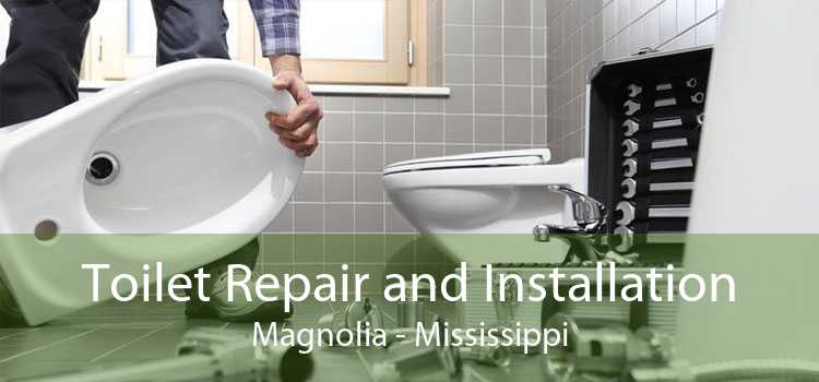 Toilet Repair and Installation Magnolia - Mississippi