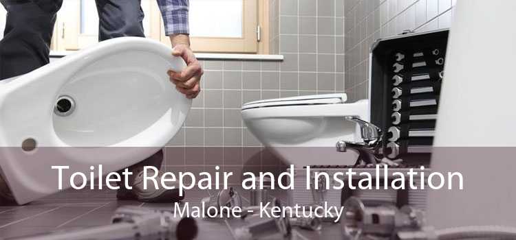 Toilet Repair and Installation Malone - Kentucky
