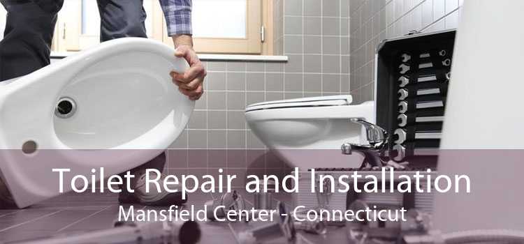 Toilet Repair and Installation Mansfield Center - Connecticut