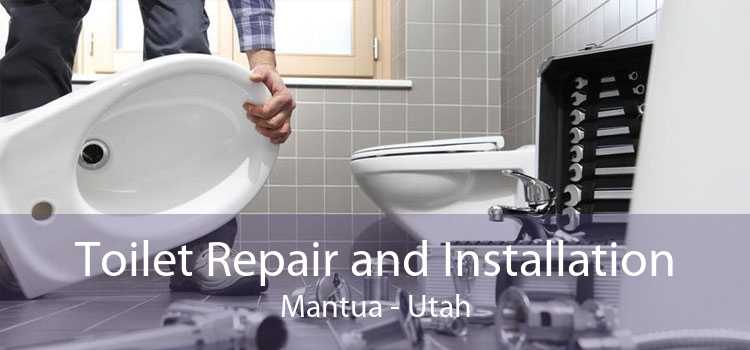 Toilet Repair and Installation Mantua - Utah