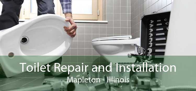 Toilet Repair and Installation Mapleton - Illinois