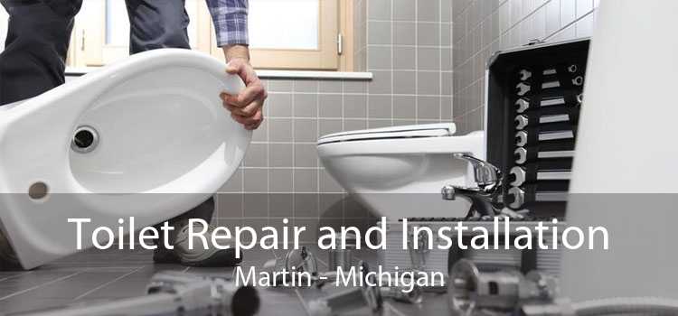 Toilet Repair and Installation Martin - Michigan