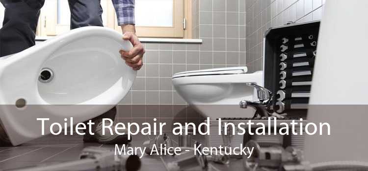 Toilet Repair and Installation Mary Alice - Kentucky