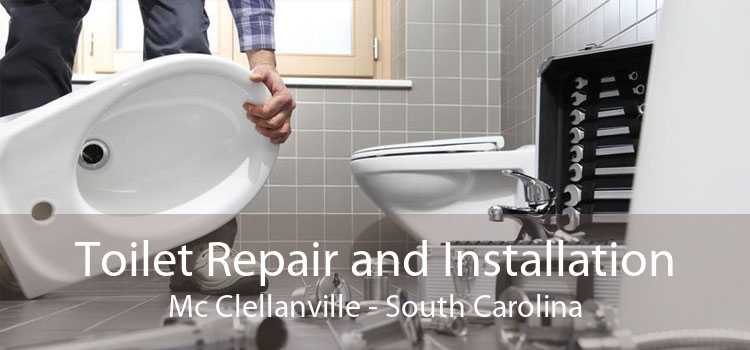 Toilet Repair and Installation Mc Clellanville - South Carolina