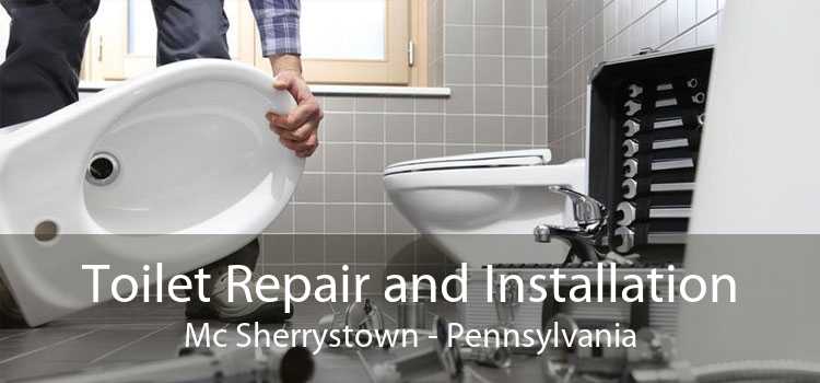 Toilet Repair and Installation Mc Sherrystown - Pennsylvania