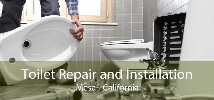 Toilet Repair and Installation Mesa - California