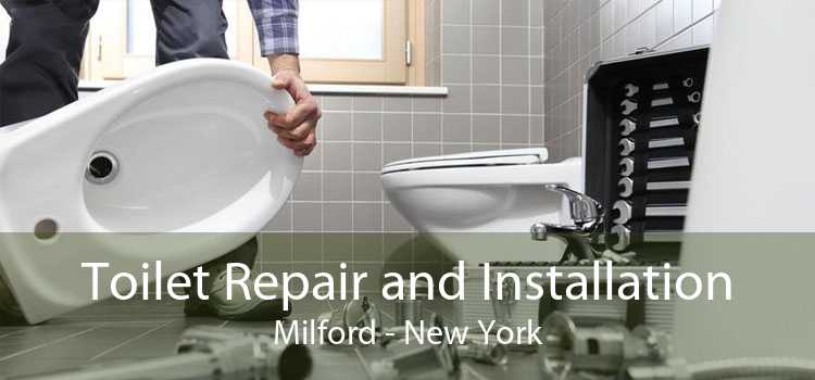 Toilet Repair and Installation Milford - New York