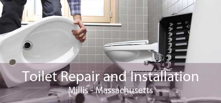 Toilet Repair and Installation Millis - Massachusetts