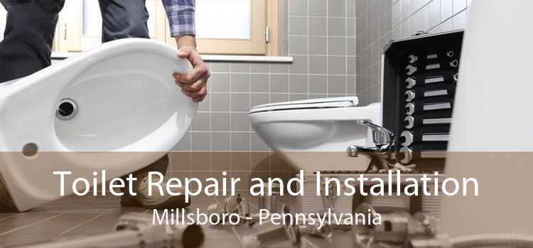 Toilet Repair and Installation Millsboro - Pennsylvania