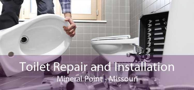 Toilet Repair and Installation Mineral Point - Missouri