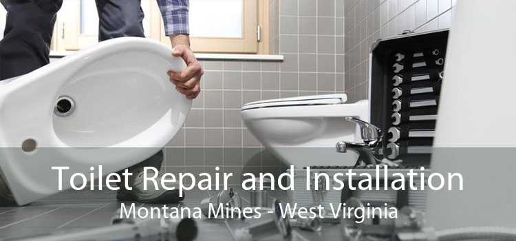 Toilet Repair and Installation Montana Mines - West Virginia