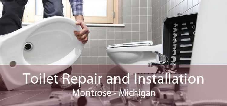 Toilet Repair and Installation Montrose - Michigan