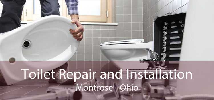 Toilet Repair and Installation Montrose - Ohio
