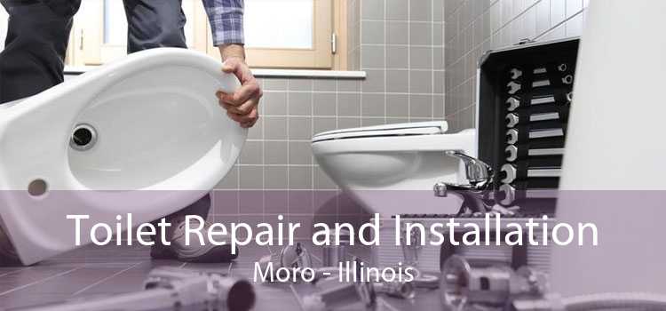 Toilet Repair and Installation Moro - Illinois