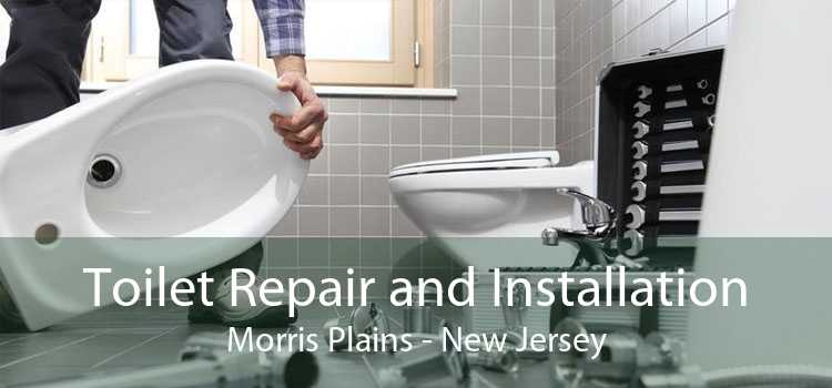 Toilet Repair and Installation Morris Plains - New Jersey