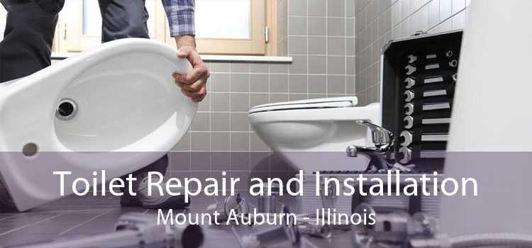 Toilet Repair and Installation Mount Auburn - Illinois