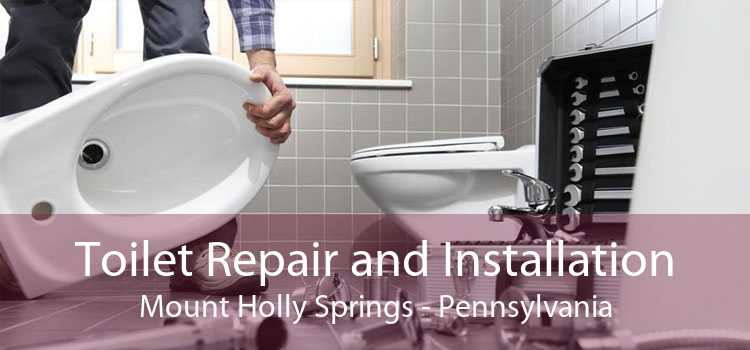 Toilet Repair and Installation Mount Holly Springs - Pennsylvania