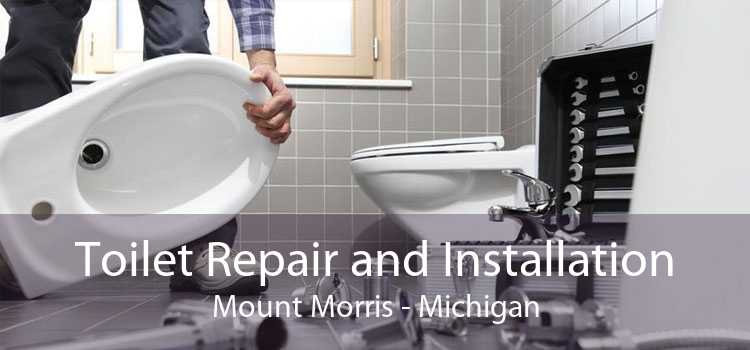 Toilet Repair and Installation Mount Morris - Michigan