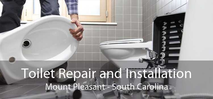 Toilet Repair and Installation Mount Pleasant - South Carolina