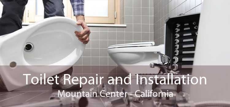 Toilet Repair and Installation Mountain Center - California