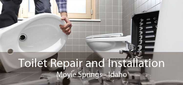 Toilet Repair and Installation Moyie Springs - Idaho