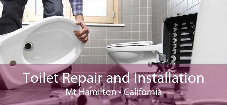 Toilet Repair and Installation Mt Hamilton - California