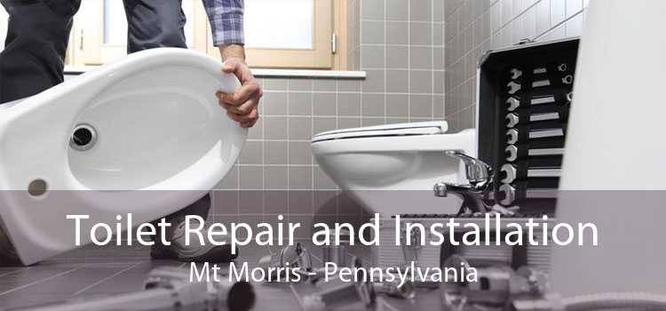 Toilet Repair and Installation Mt Morris - Pennsylvania