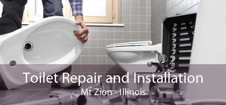 Toilet Repair and Installation Mt Zion - Illinois