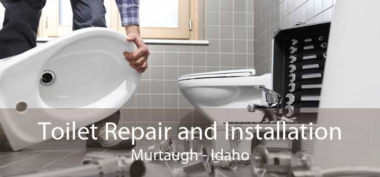 Toilet Repair and Installation Murtaugh - Idaho