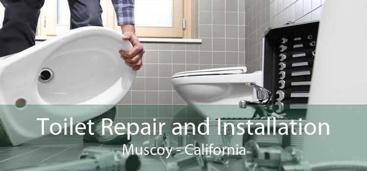 Toilet Repair and Installation Muscoy - California