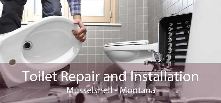 Toilet Repair and Installation Musselshell - Montana
