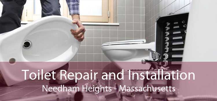 Toilet Repair and Installation Needham Heights - Massachusetts