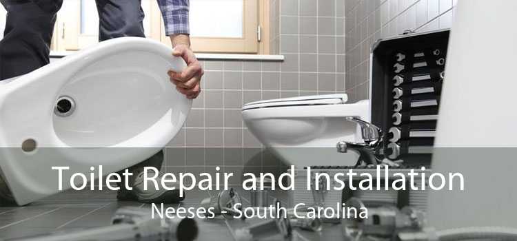 Toilet Repair and Installation Neeses - South Carolina